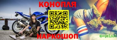 крисы Ливны