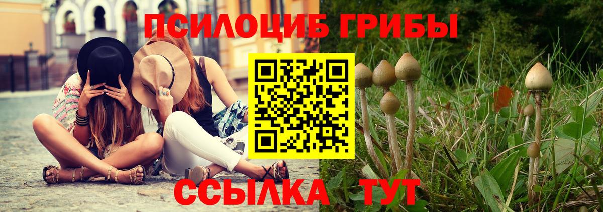 Псилоцибиновые грибы прущие грибы Дмитров