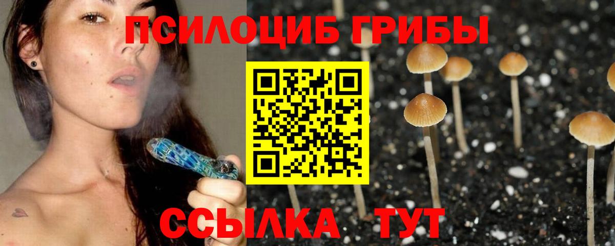 Дмитров  Галлюциногенные грибы Cubensis  Псилоцибиновые грибы мухоморы  Вход с VPN 